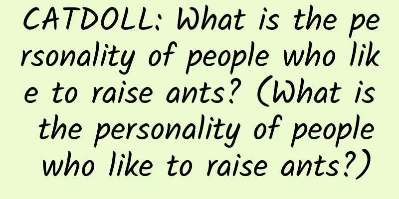 CATDOLL: What is the personality of people who like to raise ants? (What is the personality of people who like to raise ants?)