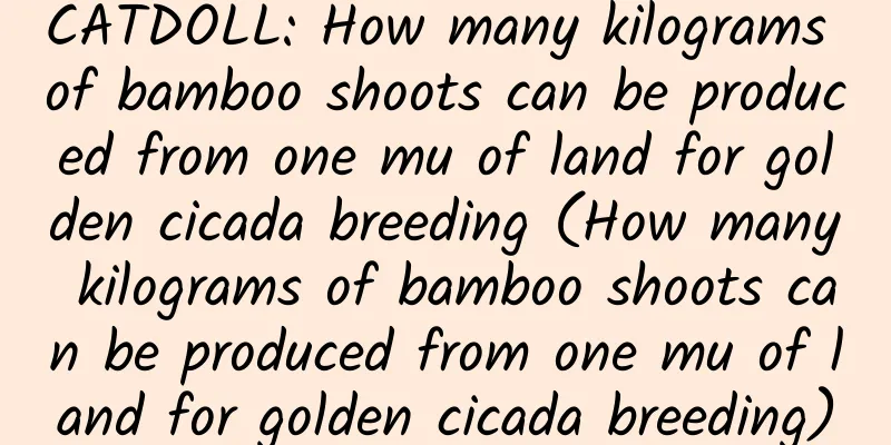 CATDOLL: How many kilograms of bamboo shoots can be produced from one mu of land for golden cicada breeding (How many kilograms of bamboo shoots can be produced from one mu of land for golden cicada breeding)
