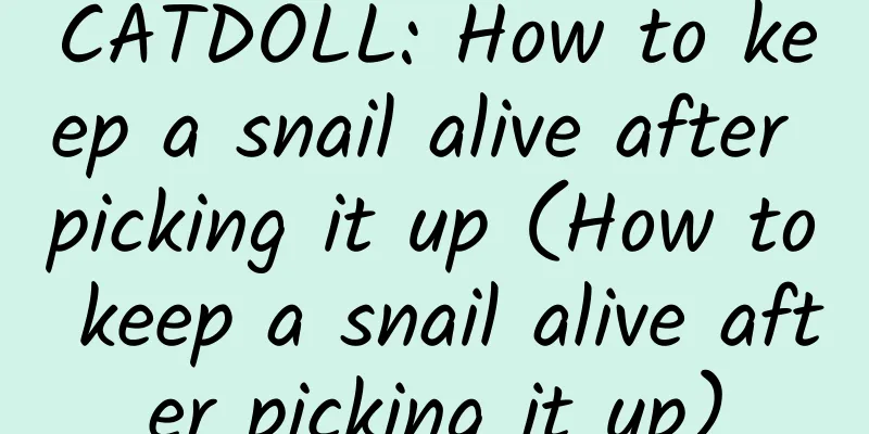CATDOLL: How to keep a snail alive after picking it up (How to keep a snail alive after picking it up)