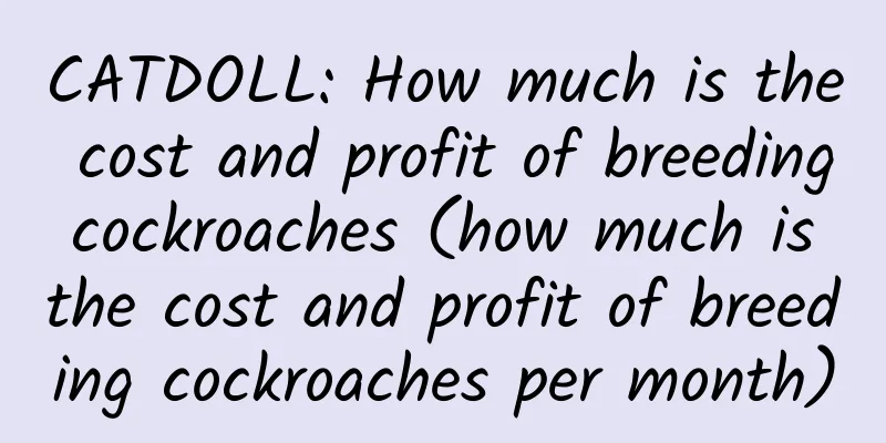 CATDOLL: How much is the cost and profit of breeding cockroaches (how much is the cost and profit of breeding cockroaches per month)