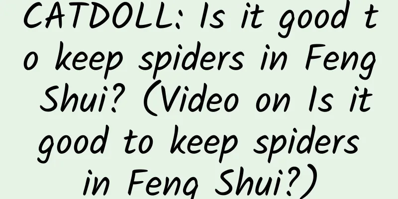CATDOLL: Is it good to keep spiders in Feng Shui? (Video on Is it good to keep spiders in Feng Shui?)
