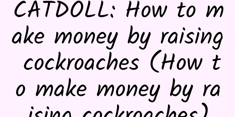 CATDOLL: How to make money by raising cockroaches (How to make money by raising cockroaches)