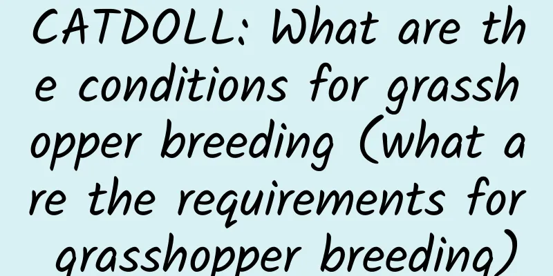 CATDOLL: What are the conditions for grasshopper breeding (what are the requirements for grasshopper breeding)