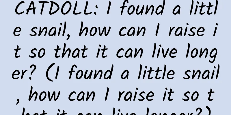 CATDOLL: I found a little snail, how can I raise it so that it can live longer? (I found a little snail, how can I raise it so that it can live longer?)