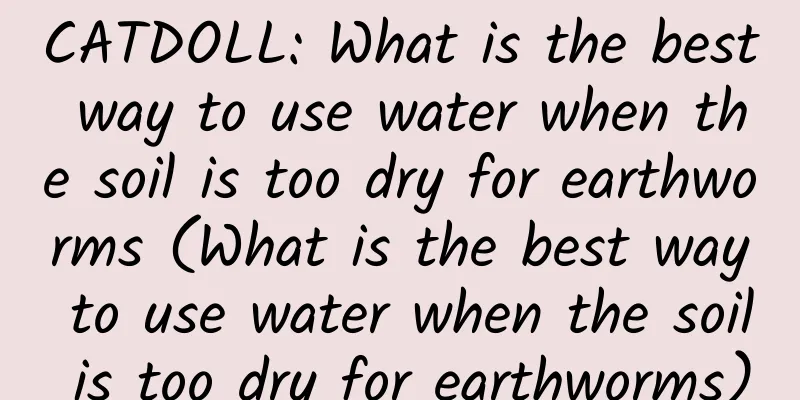 CATDOLL: What is the best way to use water when the soil is too dry for earthworms (What is the best way to use water when the soil is too dry for earthworms)
