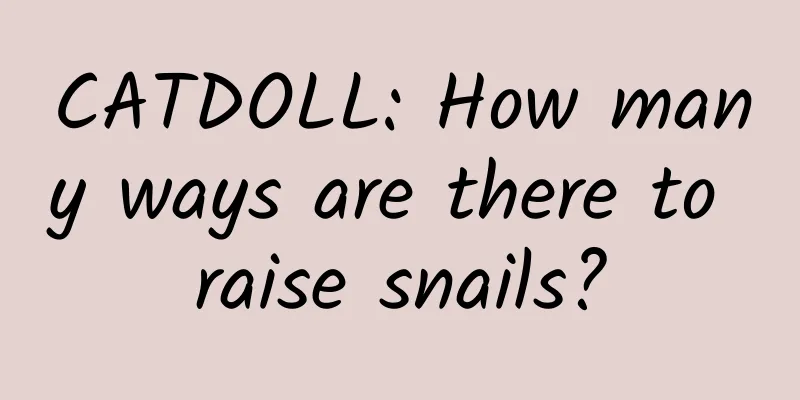 CATDOLL: How many ways are there to raise snails?