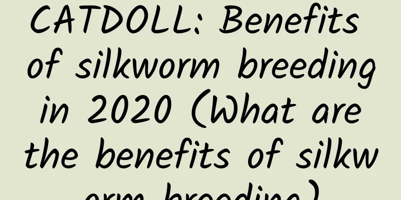 CATDOLL: Benefits of silkworm breeding in 2020 (What are the benefits of silkworm breeding)