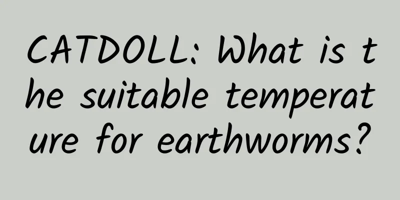 CATDOLL: What is the suitable temperature for earthworms?