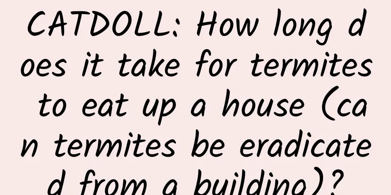 CATDOLL: How long does it take for termites to eat up a house (can termites be eradicated from a building)?