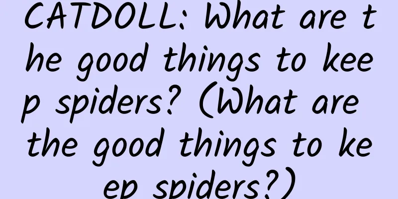 CATDOLL: What are the good things to keep spiders? (What are the good things to keep spiders?)