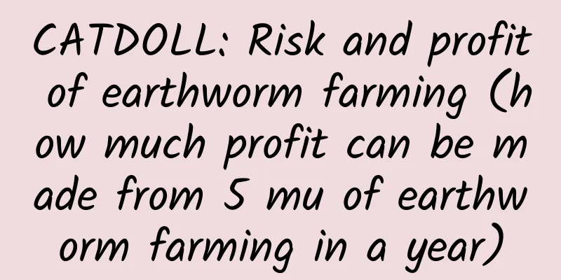 CATDOLL: Risk and profit of earthworm farming (how much profit can be made from 5 mu of earthworm farming in a year)