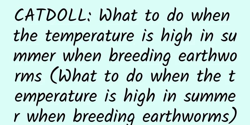 CATDOLL: What to do when the temperature is high in summer when breeding earthworms (What to do when the temperature is high in summer when breeding earthworms)