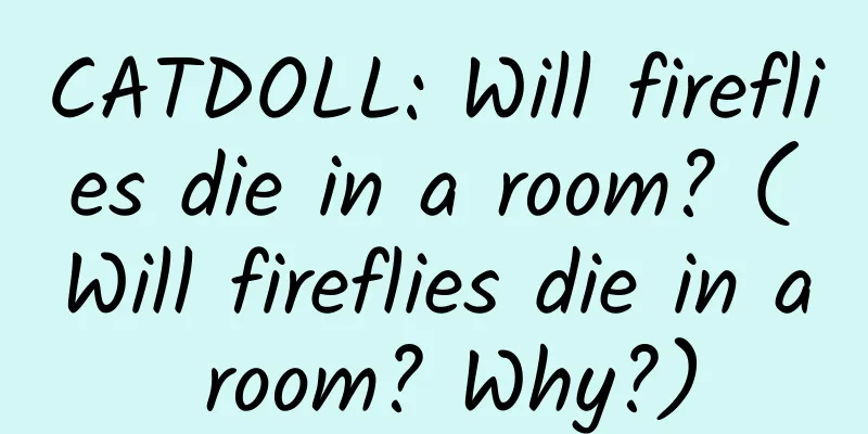 CATDOLL: Will fireflies die in a room? (Will fireflies die in a room? Why?)