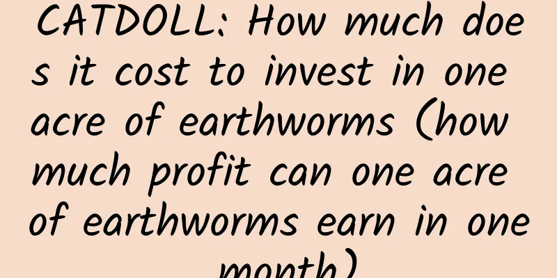 CATDOLL: How much does it cost to invest in one acre of earthworms (how much profit can one acre of earthworms earn in one month)