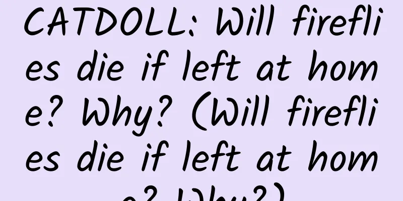 CATDOLL: Will fireflies die if left at home? Why? (Will fireflies die if left at home? Why?)