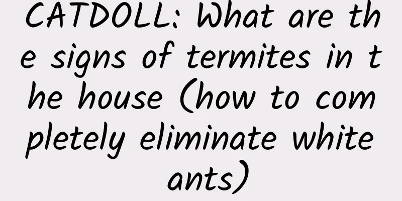 CATDOLL: What are the signs of termites in the house (how to completely eliminate white ants)