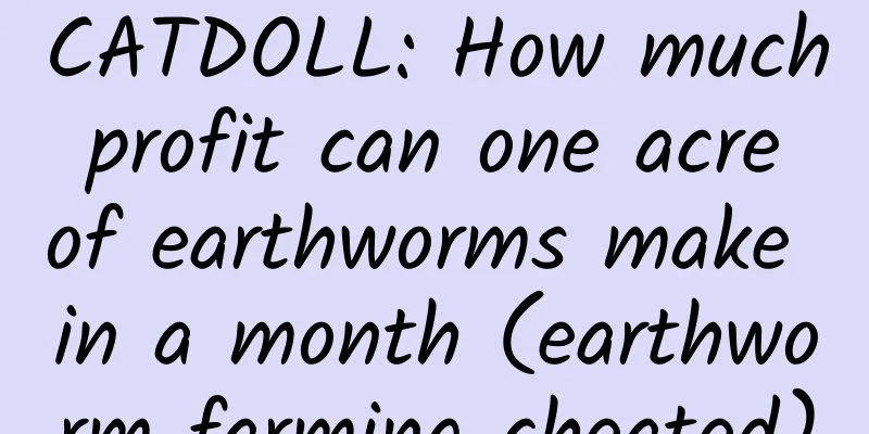 CATDOLL: How much profit can one acre of earthworms make in a month (earthworm farming cheated)