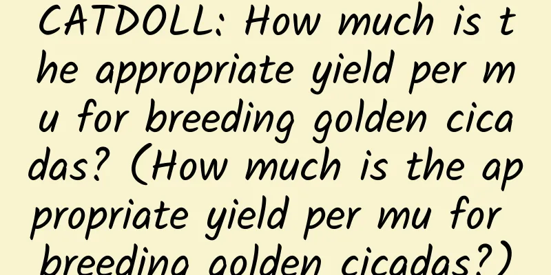 CATDOLL: How much is the appropriate yield per mu for breeding golden cicadas? (How much is the appropriate yield per mu for breeding golden cicadas?)