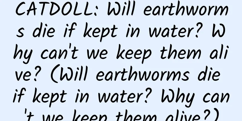 CATDOLL: Will earthworms die if kept in water? Why can't we keep them alive? (Will earthworms die if kept in water? Why can't we keep them alive?)
