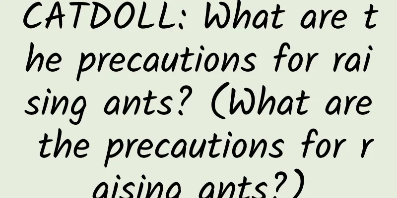 CATDOLL: What are the precautions for raising ants? (What are the precautions for raising ants?)