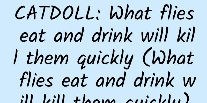 CATDOLL: What flies eat and drink will kill them quickly (What flies eat and drink will kill them quickly)