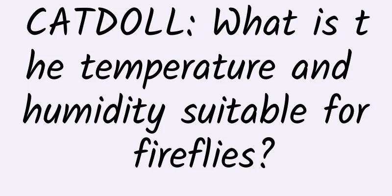 CATDOLL: What is the temperature and humidity suitable for fireflies?