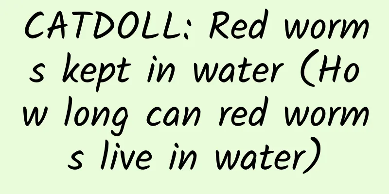 CATDOLL: Red worms kept in water (How long can red worms live in water)