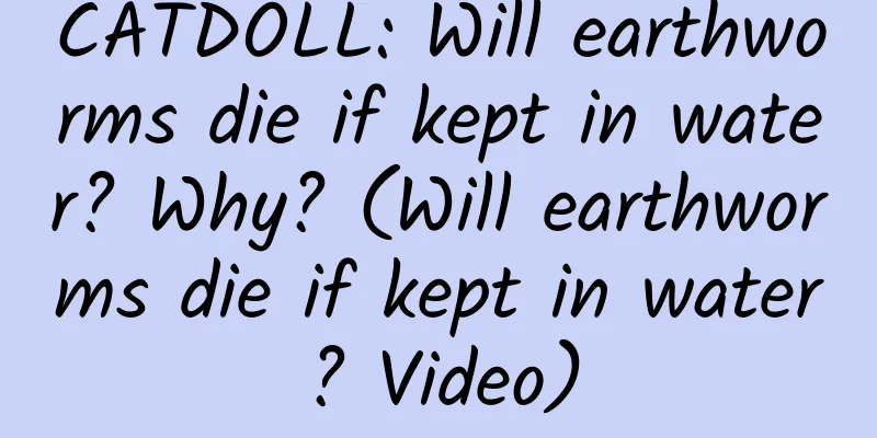 CATDOLL: Will earthworms die if kept in water? Why? (Will earthworms die if kept in water? Video)