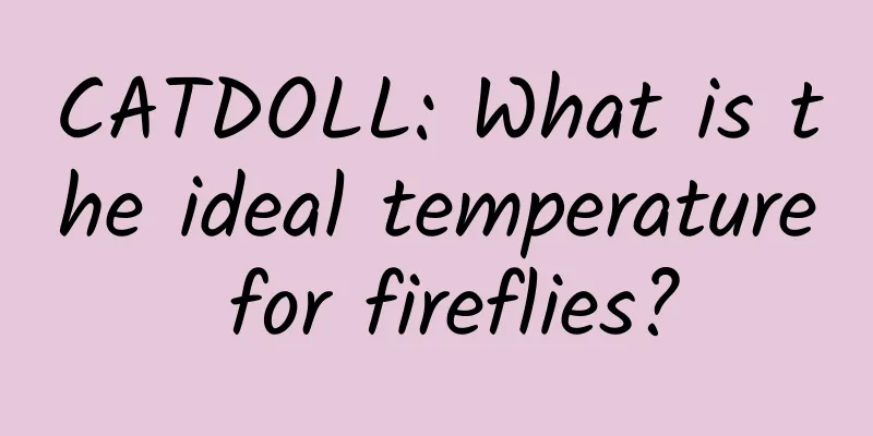 CATDOLL: What is the ideal temperature for fireflies?