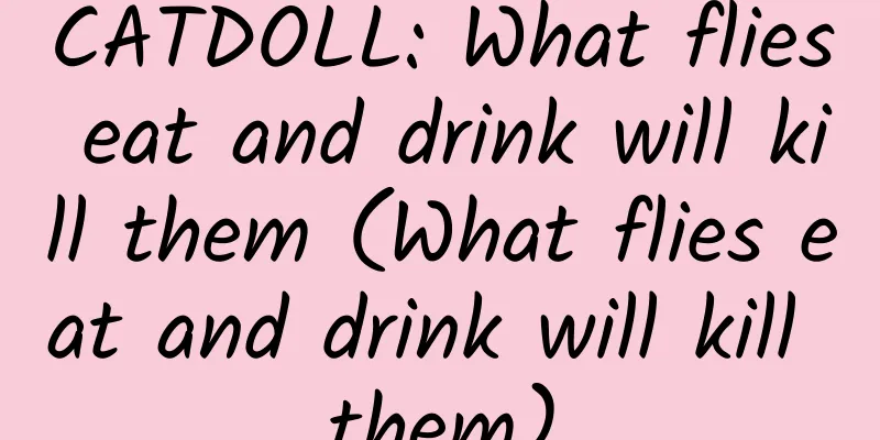 CATDOLL: What flies eat and drink will kill them (What flies eat and drink will kill them)