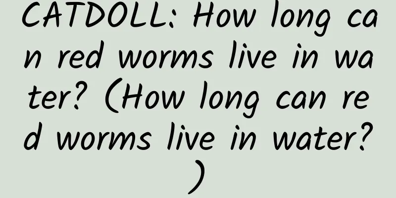 CATDOLL: How long can red worms live in water? (How long can red worms live in water?)