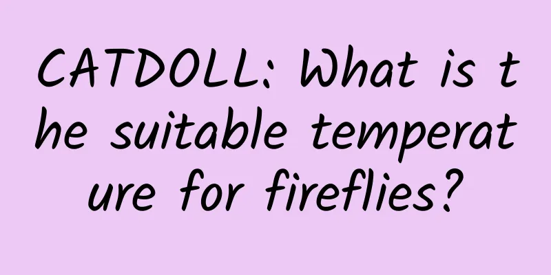 CATDOLL: What is the suitable temperature for fireflies?