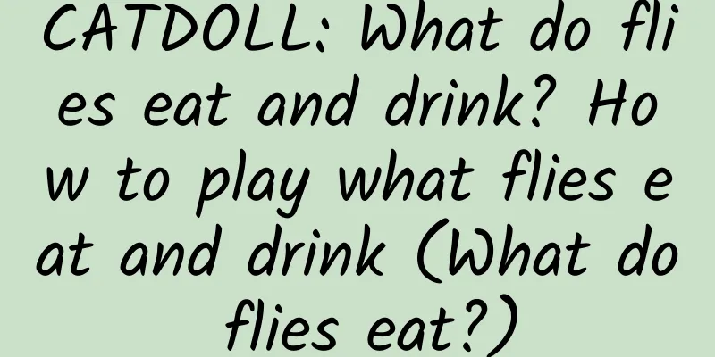 CATDOLL: What do flies eat and drink? How to play what flies eat and drink (What do flies eat?)
