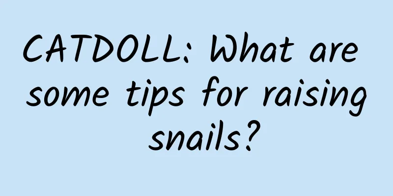 CATDOLL: What are some tips for raising snails?