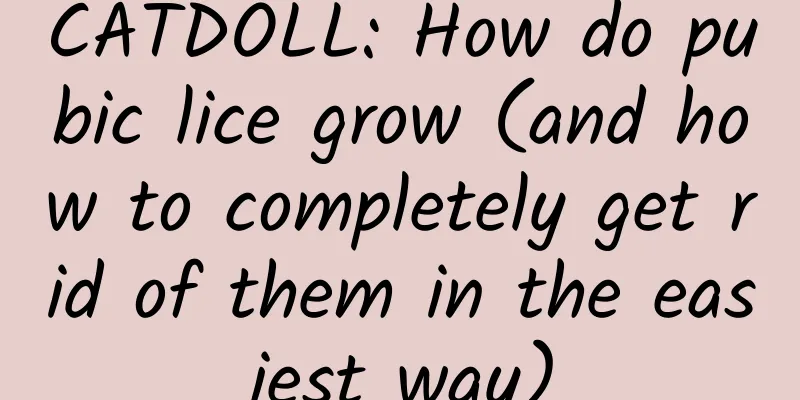 CATDOLL: How do pubic lice grow (and how to completely get rid of them in the easiest way)