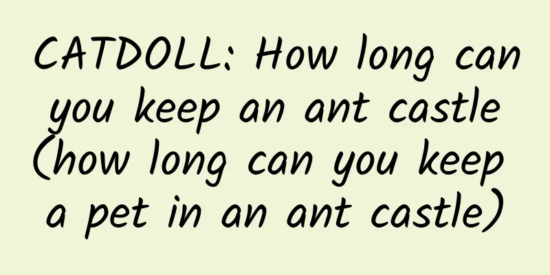 CATDOLL: How long can you keep an ant castle (how long can you keep a pet in an ant castle)