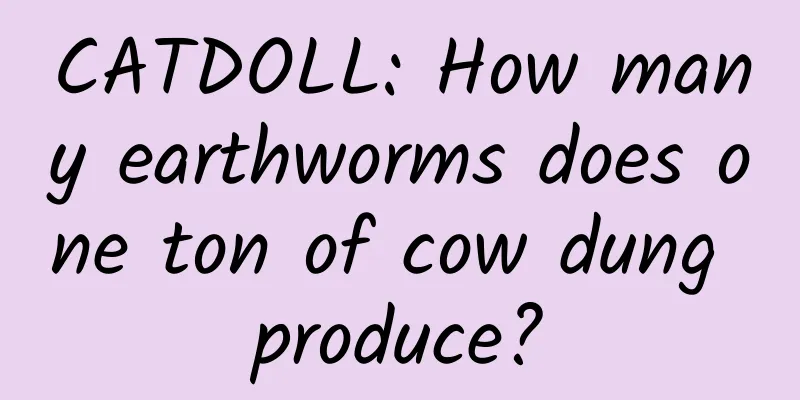 CATDOLL: How many earthworms does one ton of cow dung produce?