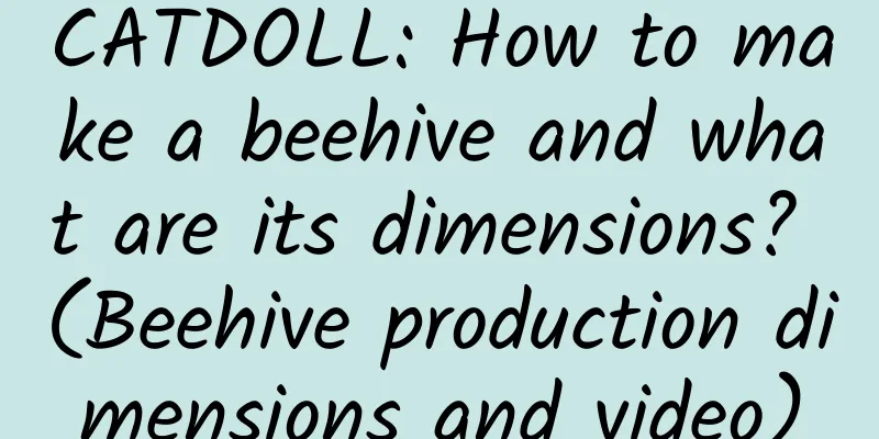 CATDOLL: How to make a beehive and what are its dimensions? (Beehive production dimensions and video)