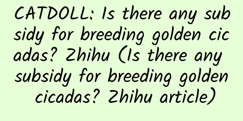 CATDOLL: Is there any subsidy for breeding golden cicadas? Zhihu (Is there any subsidy for breeding golden cicadas? Zhihu article)