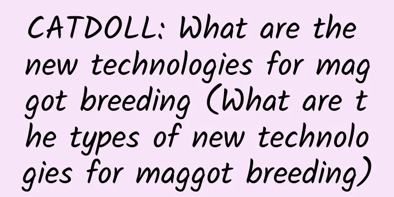 CATDOLL: What are the new technologies for maggot breeding (What are the types of new technologies for maggot breeding)