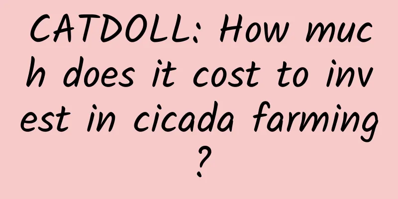 CATDOLL: How much does it cost to invest in cicada farming?