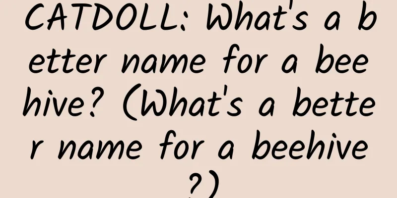 CATDOLL: What's a better name for a beehive? (What's a better name for a beehive?)