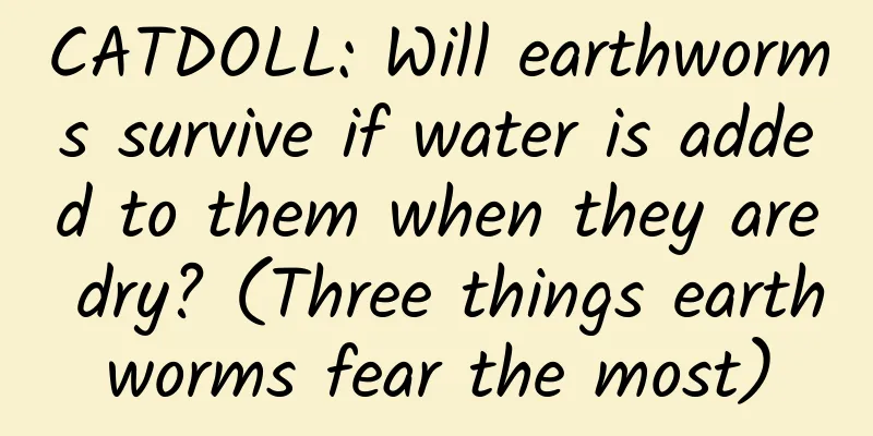CATDOLL: Will earthworms survive if water is added to them when they are dry? (Three things earthworms fear the most)