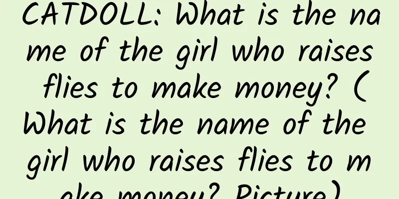 CATDOLL: What is the name of the girl who raises flies to make money? (What is the name of the girl who raises flies to make money? Picture)