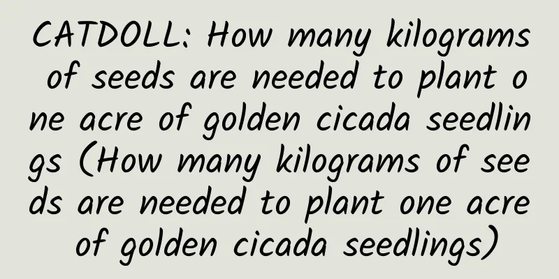 CATDOLL: How many kilograms of seeds are needed to plant one acre of golden cicada seedlings (How many kilograms of seeds are needed to plant one acre of golden cicada seedlings)