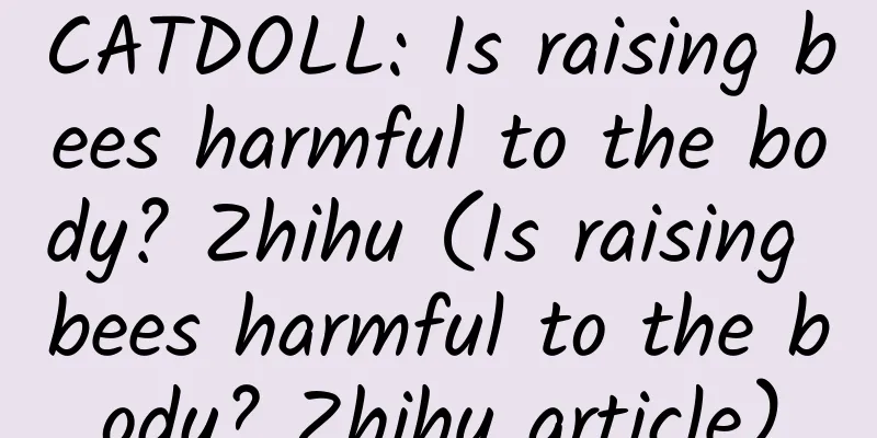CATDOLL: Is raising bees harmful to the body? Zhihu (Is raising bees harmful to the body? Zhihu article)