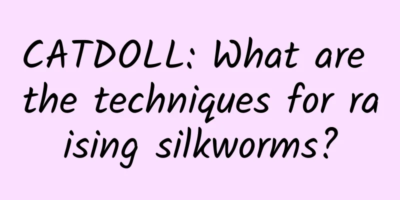 CATDOLL: What are the techniques for raising silkworms?