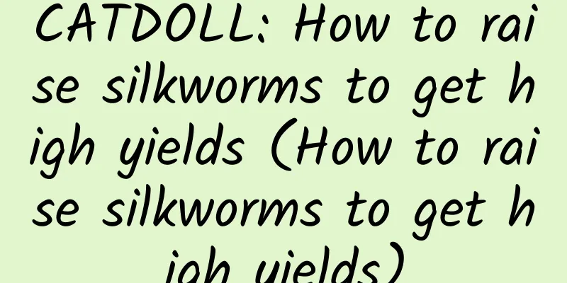 CATDOLL: How to raise silkworms to get high yields (How to raise silkworms to get high yields)