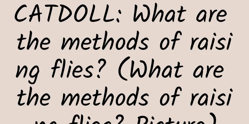 CATDOLL: What are the methods of raising flies? (What are the methods of raising flies? Picture)