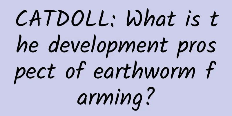 CATDOLL: What is the development prospect of earthworm farming?